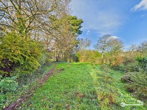 Garden- click for photo gallery